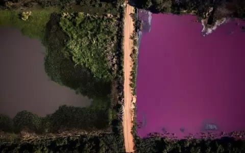 Lo que puede una fotograf�a. Im�genes, medios de comunicaci�n, redes sociales y ecolog�a (II)