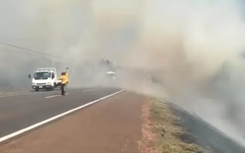 Hect�reas afectadas por incendios forestales en el pa�s ascienden a m�s de 34 mil