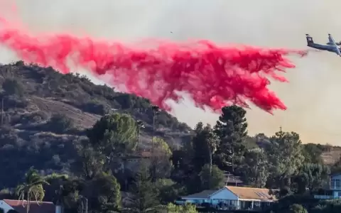 �C�mo funciona el polvo rosado para combatir incendios?
