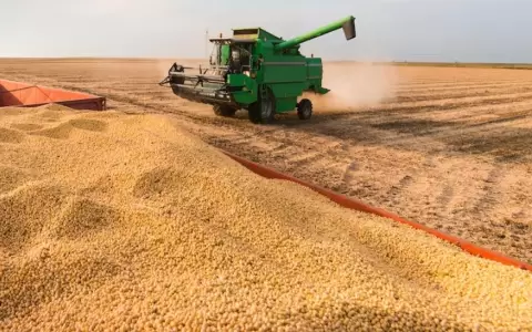 Argentina reduce retenciones al campo y elimina impuestos para econom�as regionales