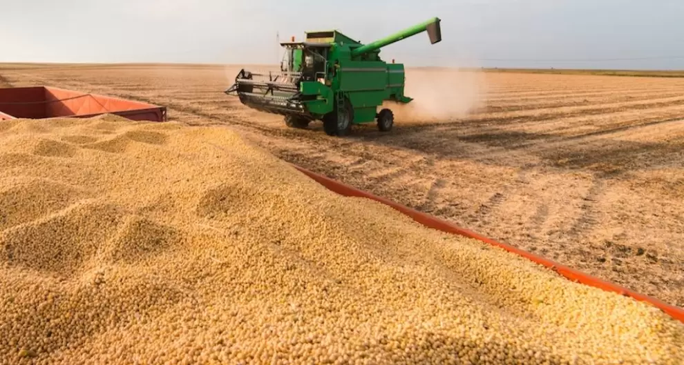 Argentina reduce retenciones al campo y elimina impuestos para economías regionales