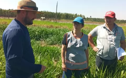 Encuesta Nacional Agropecuaria 2025 iniciar� en marzo