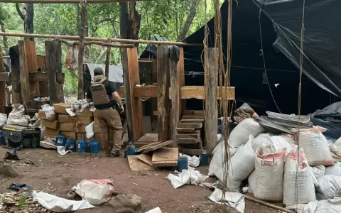 Desmantelan centro de acopio y procesamiento de drogas en Amambay