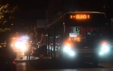 Viajes nocturnos: 250 pasajeros por d�a y por unidad en buses "B�ho"