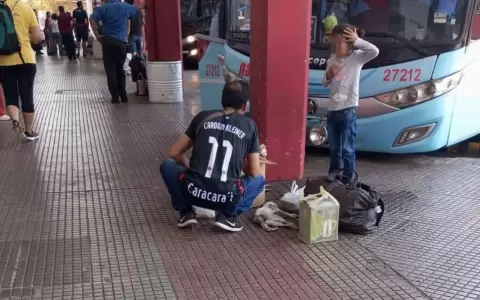 Empresa de transportes oblig� a llevar a una mascota en el maletero y falleci�
