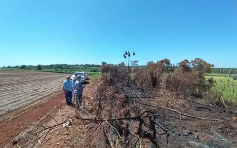 Imputan a due�o de una propiedad por tala y quema de bosque nativo