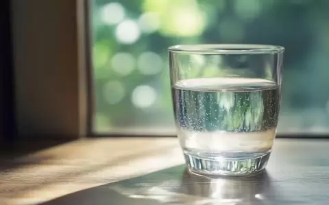 Mitos y verdades sobre el agua con y sin gas: �cu�l es mejor para la salud?