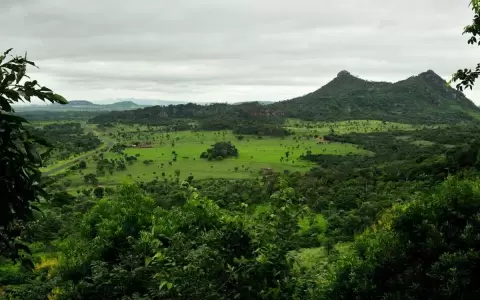 Hoy se conmemoran 49 a�os del Parque Nacional Cerro Cor�