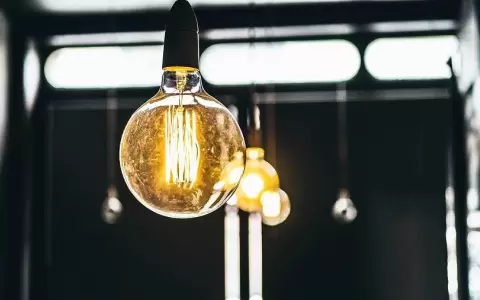 ��C�mo desarrollar un proyecto cient�fico?�:  taller de verano de Ciencia del Sur