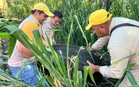 Instituciones suman esfuerzos en Alto Paran� contra las arbovirosis