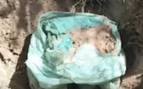 Encontraron una caleta con armas, municiones y documentos en la zona de b�squeda de los restos de F�lix Urbieta