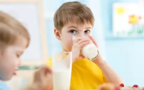 La importancia de la leche en la alimentaci�n de los ni�os en edad escolar