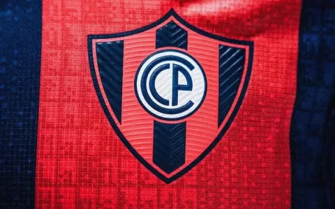 "La planificaci�n est� hecha para salir campe�n de la Copa Libertadores"