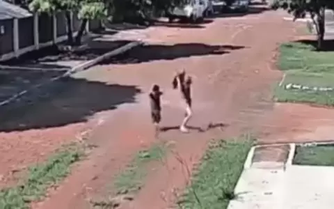 Ataque de abejas deja a dos menores heridos y causa la muerte de un perro