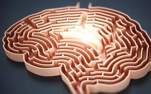 Descubren el mecanismo cerebral que desata la creatividad