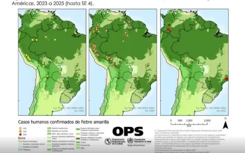 Alerta regional de la OPS ante el aumento de casos de fiebre amarilla