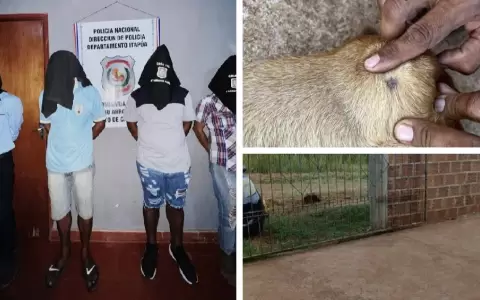 Cambyret�: detienen a supuestos responsables de la muerte de un perro
