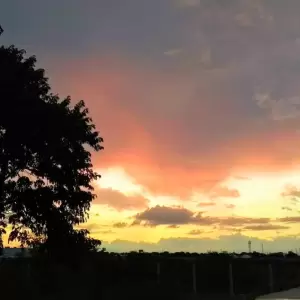 Clima en Paraguay: Sábado caluroso con máximas de 36°C y aumento de nubosidad
