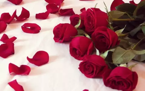 �Qu� regalar a mi pareja para San Valent�n?: 15 ideas rom�nticas y originales
