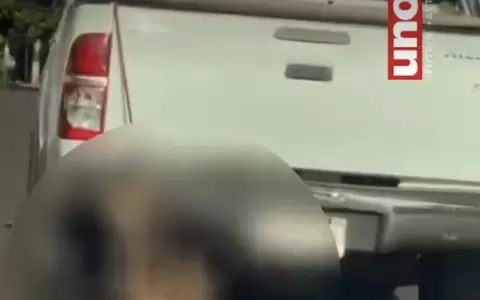 Itap�a: un perro fue arrastrado por una camioneta en Cambyret�