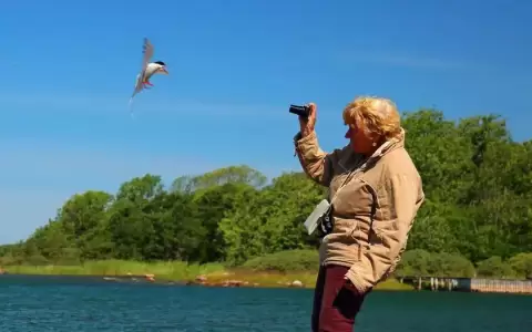 Finlandia, "pa�s m�s feliz", Costa Rica y M�xico en el top 10