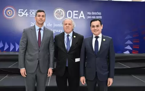 OEA: se diluyen chances para Ram�rez Lezcano