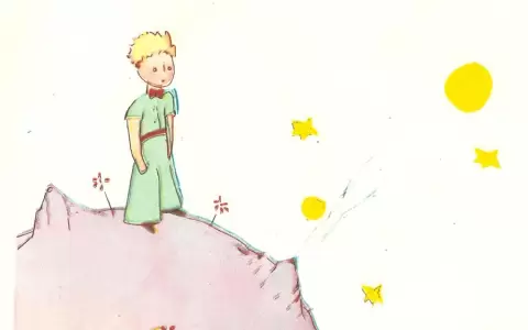 Presentan edici�n especial de "El Principito" en lengua nivacl�