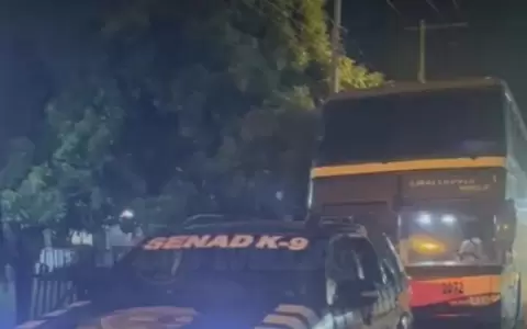 Incautan otro bus que funcionaba como "narco agencia de turismo" con m�s de 1.660 kilos de marihuana