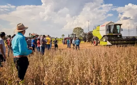 Proyecciones del MEF: un 2025 "dif�cil" por sequ�a que golpea la producci�n agropecuaria