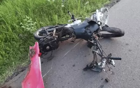 Accidentes de tr�nsito.