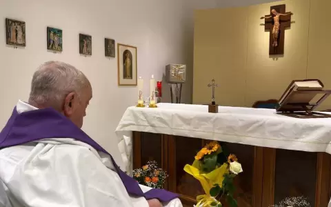 La primera foto del papa Francisco desde su internaci�n.