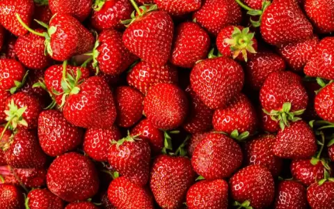 Oro rojo: la fruta con m�s vitamina C que la naranja que protege contra el envejecimiento