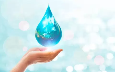 Uso responsable del agua: soluci�n a los desaf�os del sector alimentario