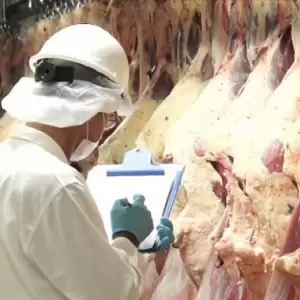 Enero: exportaciones de carne bovina paraguaya caen por menor oferta de hacienda y retenci�n de vientres