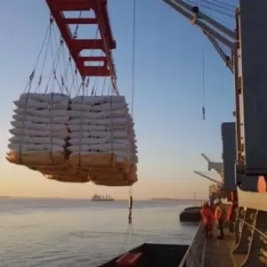 El primer trimestre cerr� con varios hitos para la exportaci�n nacional