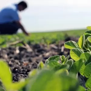 Avalan acuerdo Mercosur-UE, pero advierten sobre riesgos para la producci�n nacional
