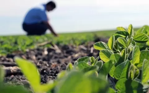 Canad� busca cooperaci�n con Paraguay en agrotecnolog�a y producci�n agropecuaria