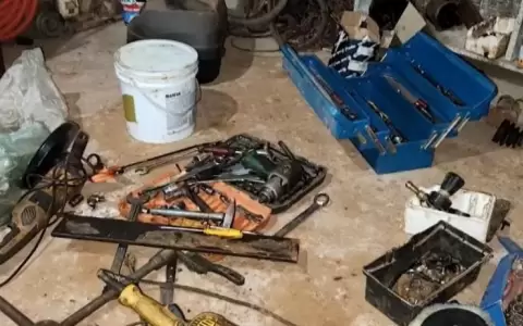 Allanan en Minga Guaz� aguantadero donde adulteraban chasis de veh�culos robados en Brasil
