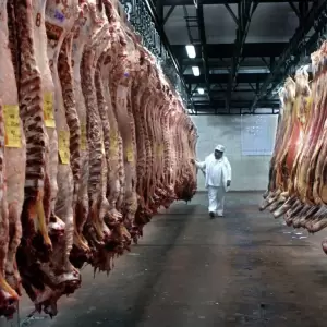 Carne ovina paraguaya es altamente demandada a nivel mundial.