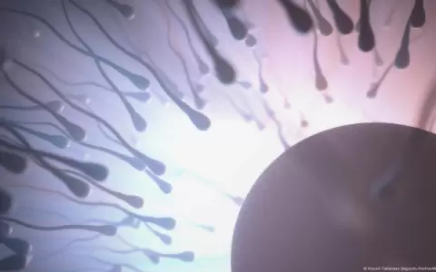 Estudio: hombres con esperma de mejor calidad viven m�s