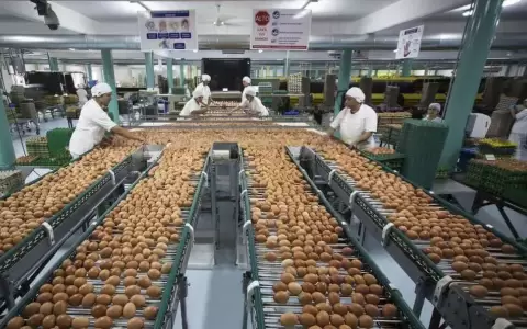 Desde Avipar anuncian reducci�n del precio del huevo