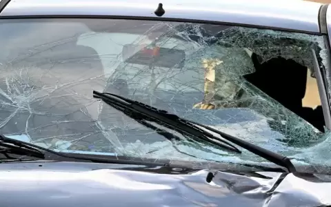 �Existe una psicolog�a com�n en los ataques con autos?