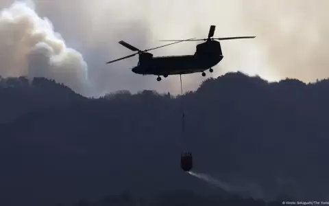 Jap�n: cientos de bomberos combaten enorme incendio forestal
