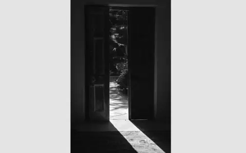 Historias viscerales para rescatar memorias