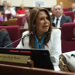 Senadora sobre "puentazo": "Si volvemos para Navidad, tienen suerte"