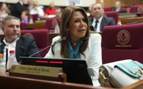 Honor Colorado evaluar� sanci�n a Celeste Amarilla