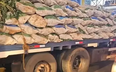El cargamento de mandioca fue incautado por la Coordinadora Operativa de Investigaci�n Aduanera (COIA).