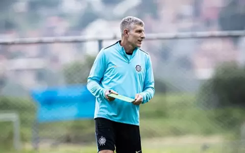 Mart�n Palermo dirigir� a un paraguayo en Brasil