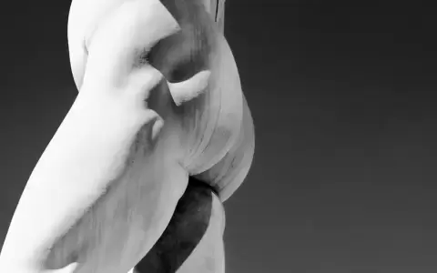 Lo que comenz� como un conducto reproductivo para liberar esperma podr�a haberse transformado en el ano que conocemos hoy.