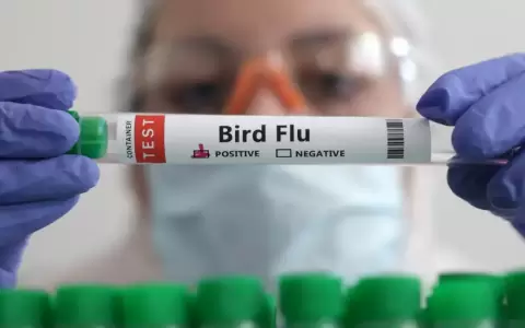 Prueba de gripe aviar positiva.